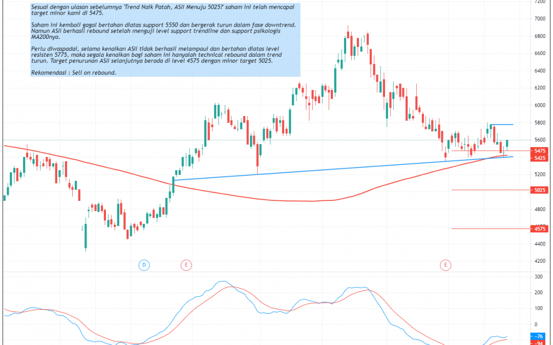 Hati – Hati Deat Cat Bounce Pada ASII