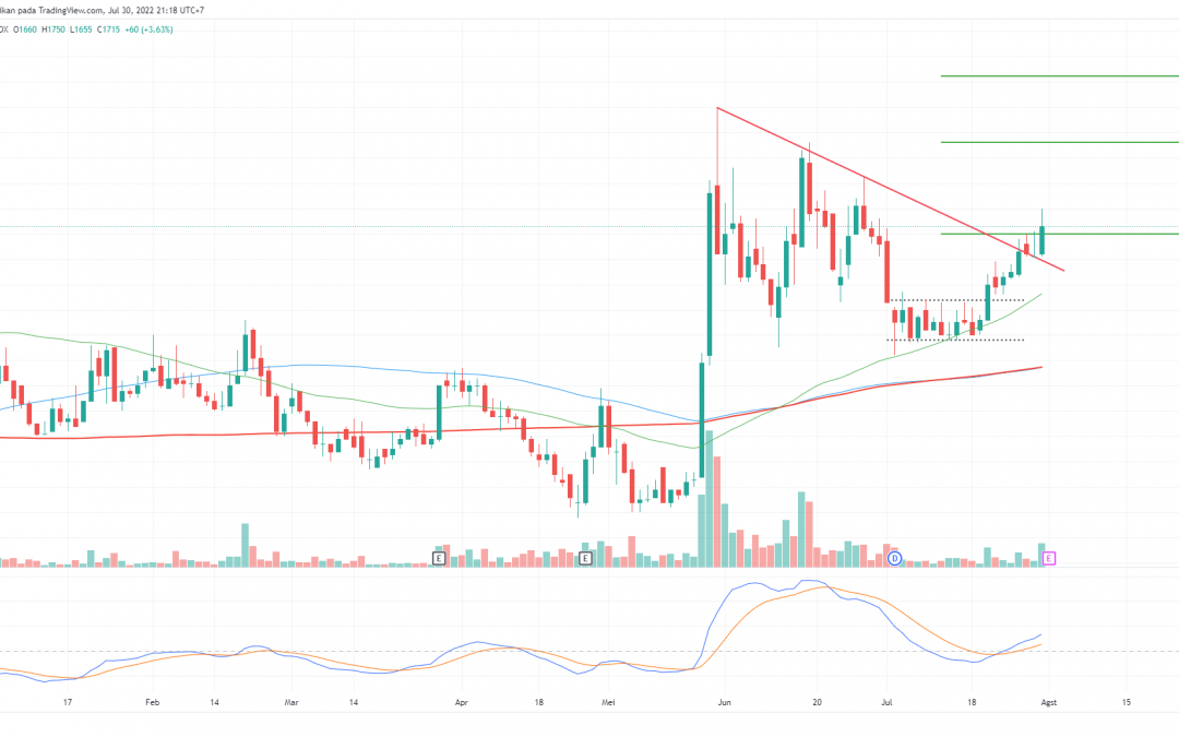 BIRD Mencapai Target Minor, What Next?