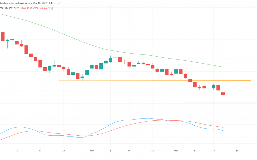 GOTO Mau IPO, BUKA Sudah di Bottom?