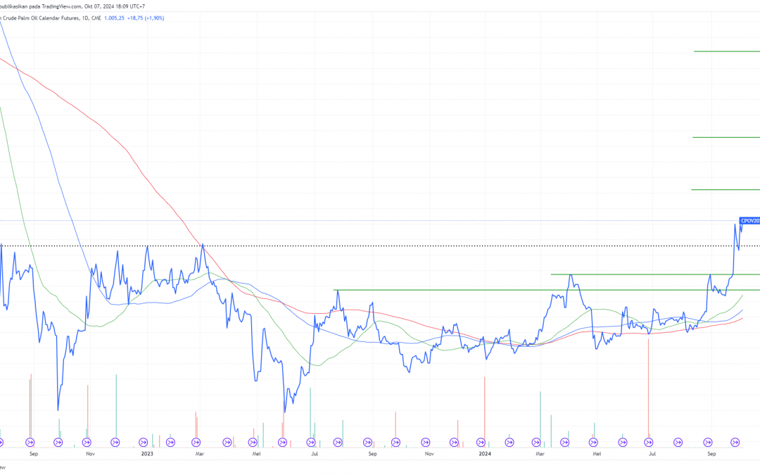 CPO Masih Ada Peluang Menuju 1138, Peluang Bagi Saham-Saham CPO?
