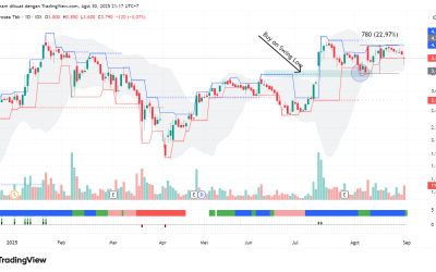 Rebound 22% di Saham PTRO