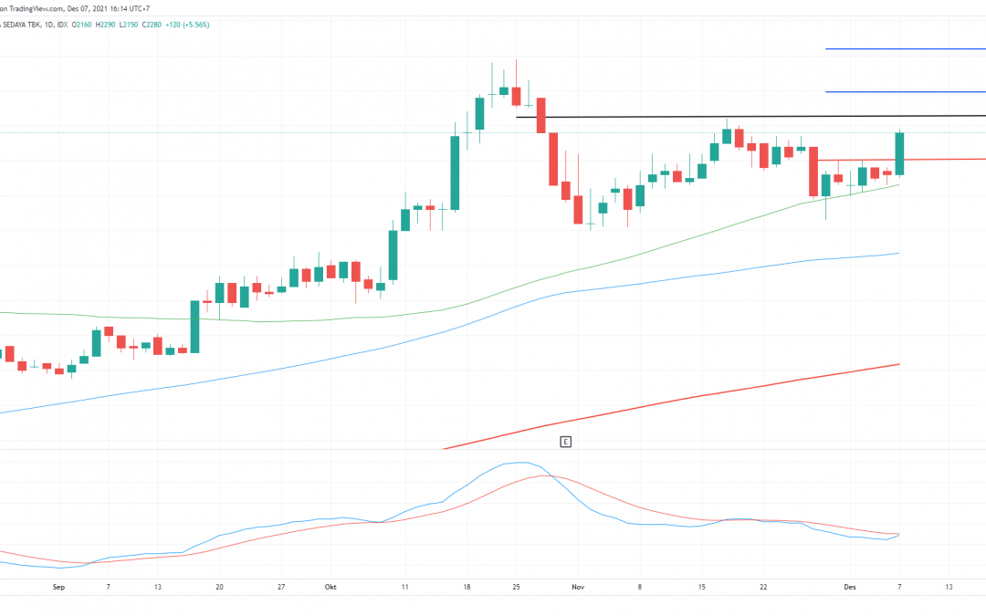 SRTG : Ada Peluang Kembali All Time High?