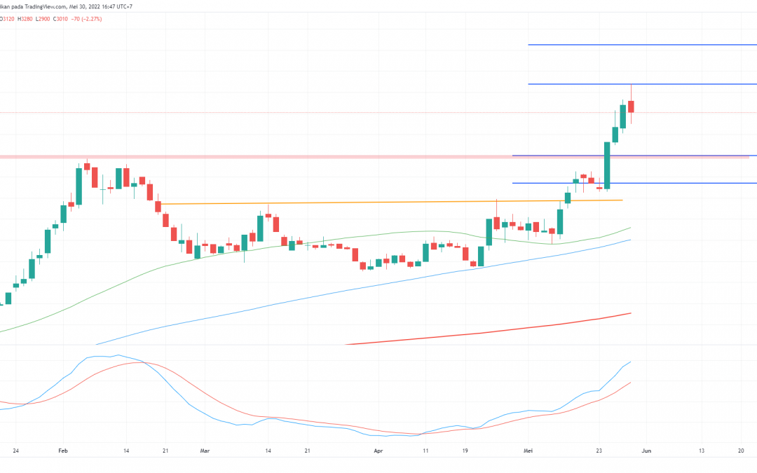 TMAS Break All Time High, Masih Ada Ruang kenaikan Lagi?