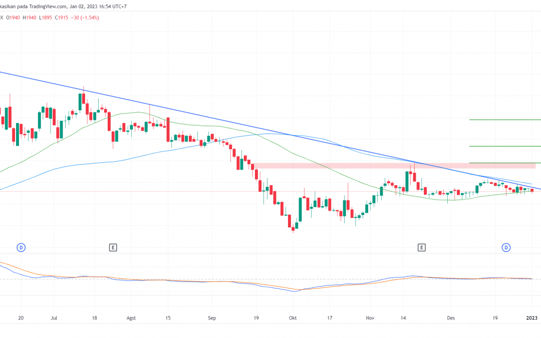 TMAS Menguji Resisten Penting, Speculative Buy Jika Breakout