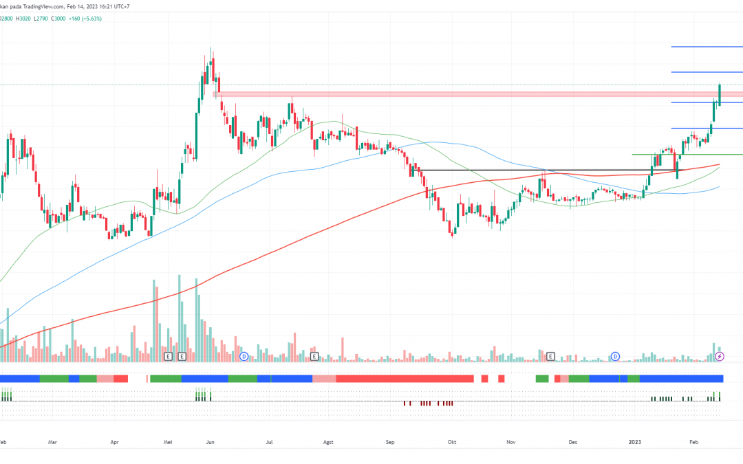 TMAS Berada di Fase Strong Uptrend, Hold