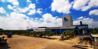 CPIN Saham